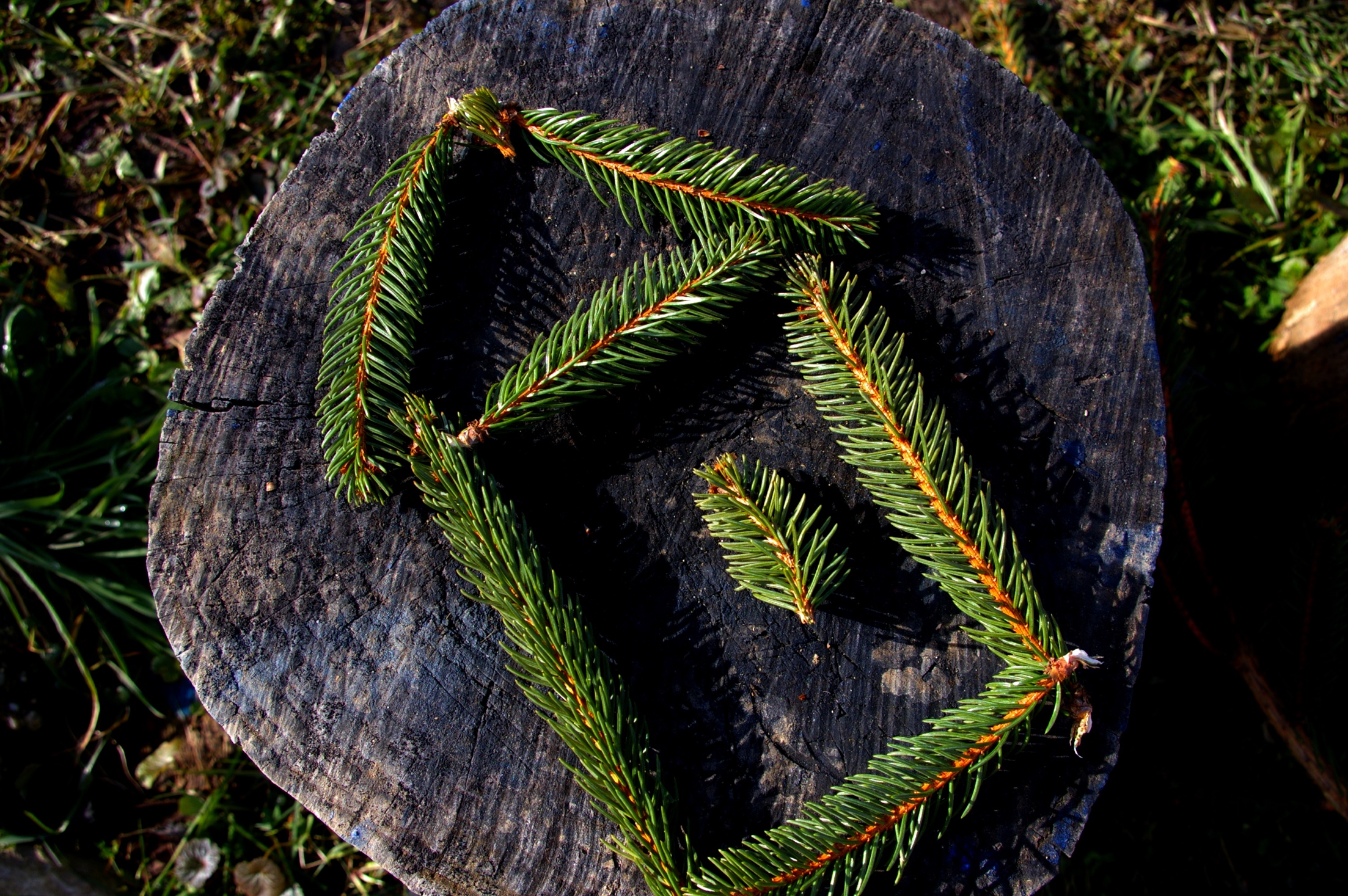 Onze ecologische voetafdruk verkleinen? Een uitdaging die Jean Verheyen zonder meer wil aangaan!